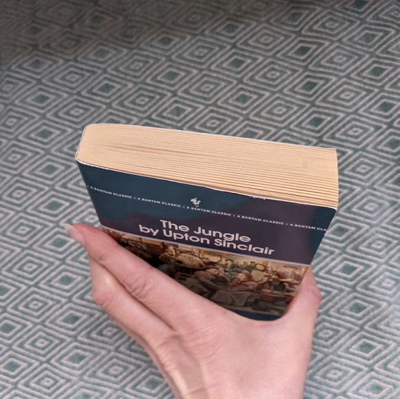 The Jungle by Upton Sinclair - Picture 5 of 6